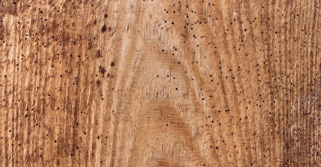 découvrez nos solutions efficaces pour le traitement du bois, protégeant et embellissant vos surfaces en bois contre les intempéries et le vieillissement.