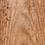 découvrez nos solutions efficaces pour le traitement du bois, protégeant et embellissant vos surfaces en bois contre les intempéries et le vieillissement.