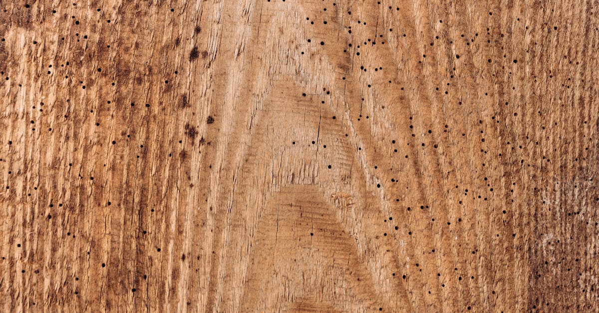 découvrez nos solutions efficaces pour le traitement du bois, protégeant et embellissant vos surfaces en bois contre les intempéries et le vieillissement.