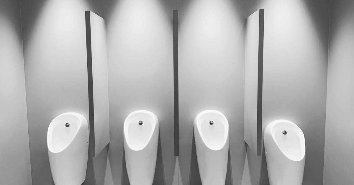 découvrez le mécanisme double chasse, une solution économique et écologique pour votre toilette, permettant de choisir entre deux volumes d'eau pour optimiser la consommation.