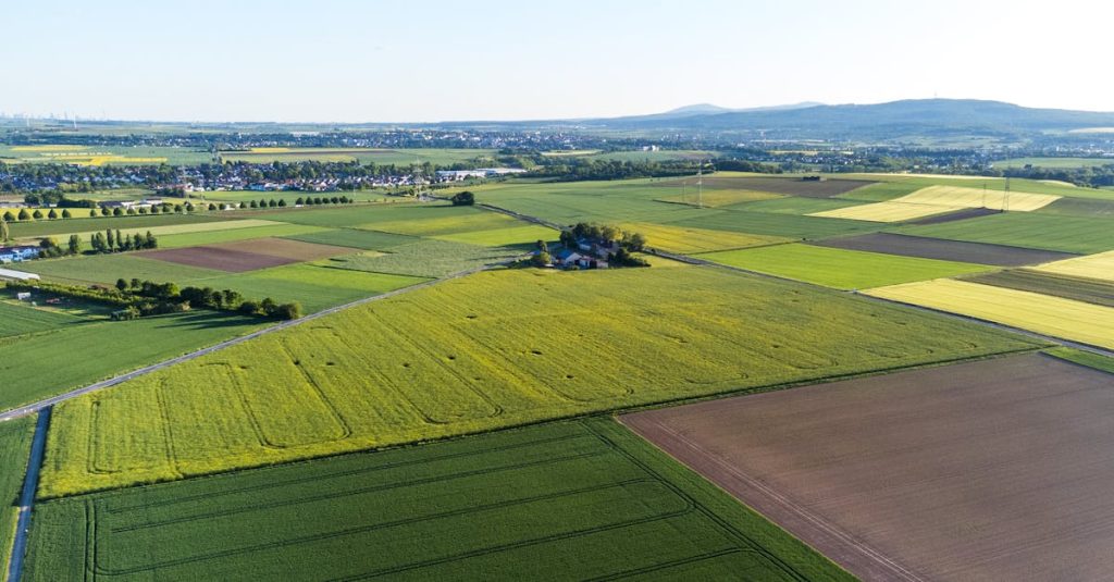 découvrez tout ce qu'il faut savoir sur l'hectare, une unité de mesure de surface utilisée principalement en agriculture et en aménagement du territoire.