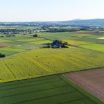 découvrez tout ce qu'il faut savoir sur l'hectare, une unité de mesure de surface utilisée principalement en agriculture et en aménagement du territoire.