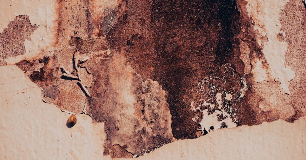 découvrez les causes, les effets et les solutions pour l'humidité dans les murs afin de protéger votre habitation et améliorer votre confort.