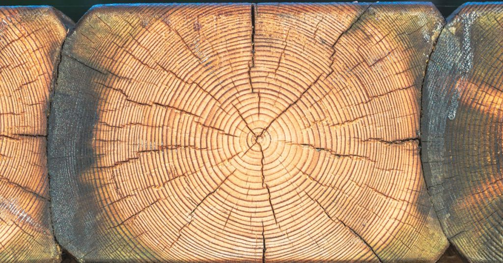 découvrez les méthodes efficaces de préservation du bois pour protéger et prolonger la durée de vie de vos structures en bois.