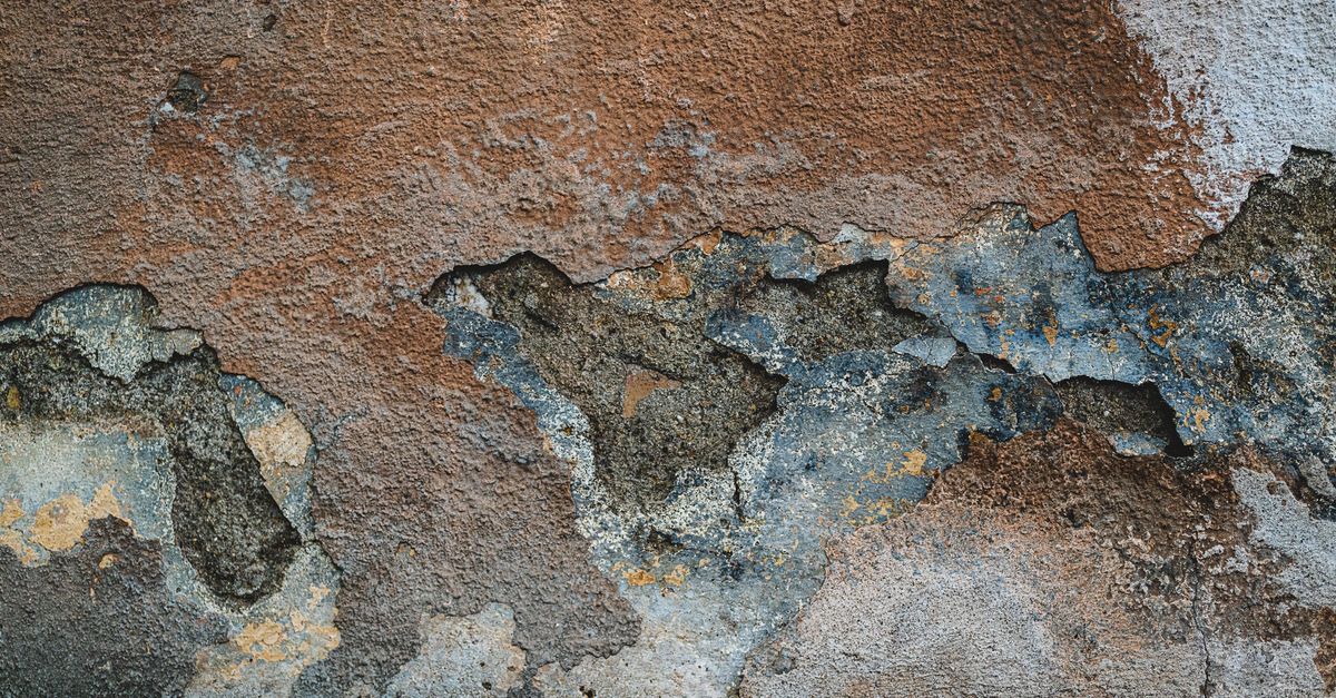 solutions efficaces pour le traitement des murs humides : prévention, réparation et conseils pour éliminer l'humidité et préserver la solidité de vos murs.