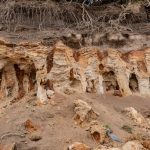 découvrez tout sur la pourriture sèche (dryrot) : causes, prévention et traitements efficaces pour protéger votre maison des dégâts du bois.