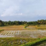 découvrez tout sur la terre : son importance, ses caractéristiques et son impact sur notre vie quotidienne.