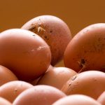 éliminez efficacement l'odeur d'œuf pourri avec nos solutions rapides et durables. profitez d'un air frais et propre chez vous.
